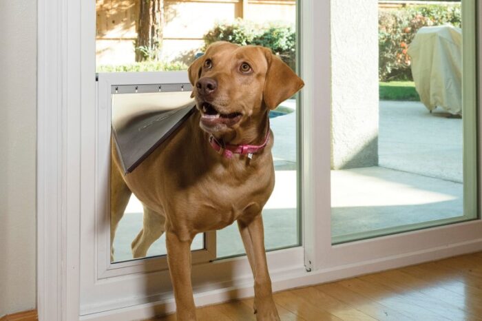 Krasiva Malibu Sliding Door with Doggy Door in the Glass